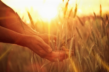 Celebrating Harvest Time
